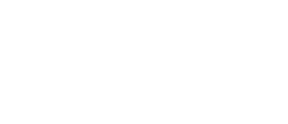 Life Storms